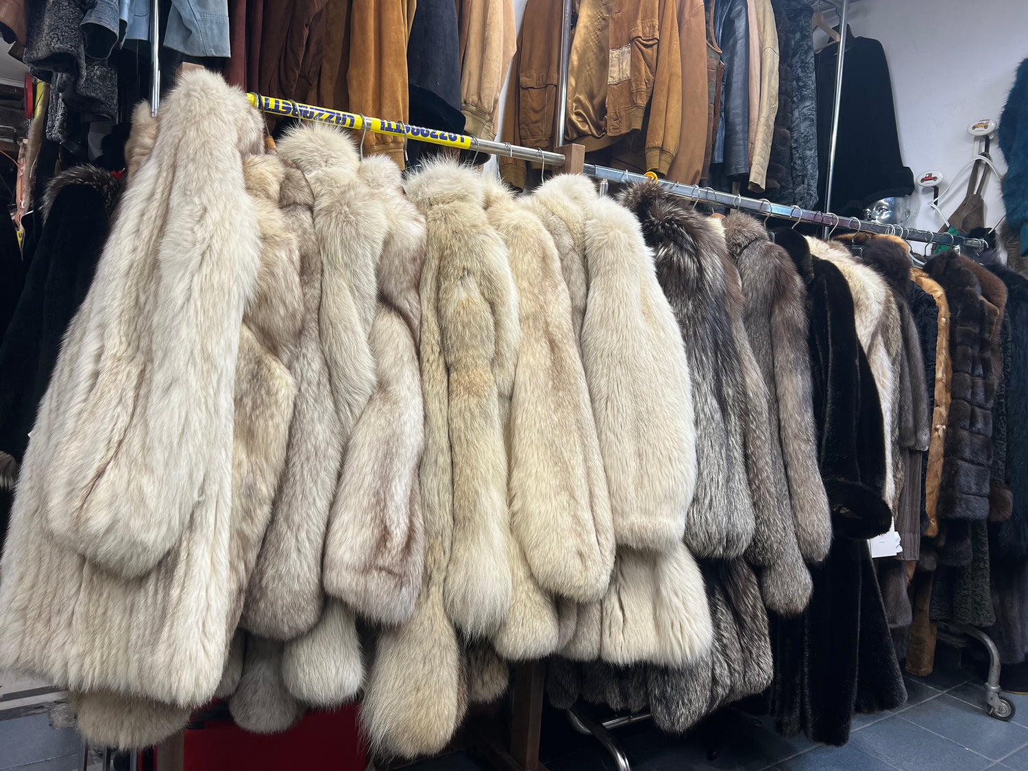 Fourrure de Renard 🦊