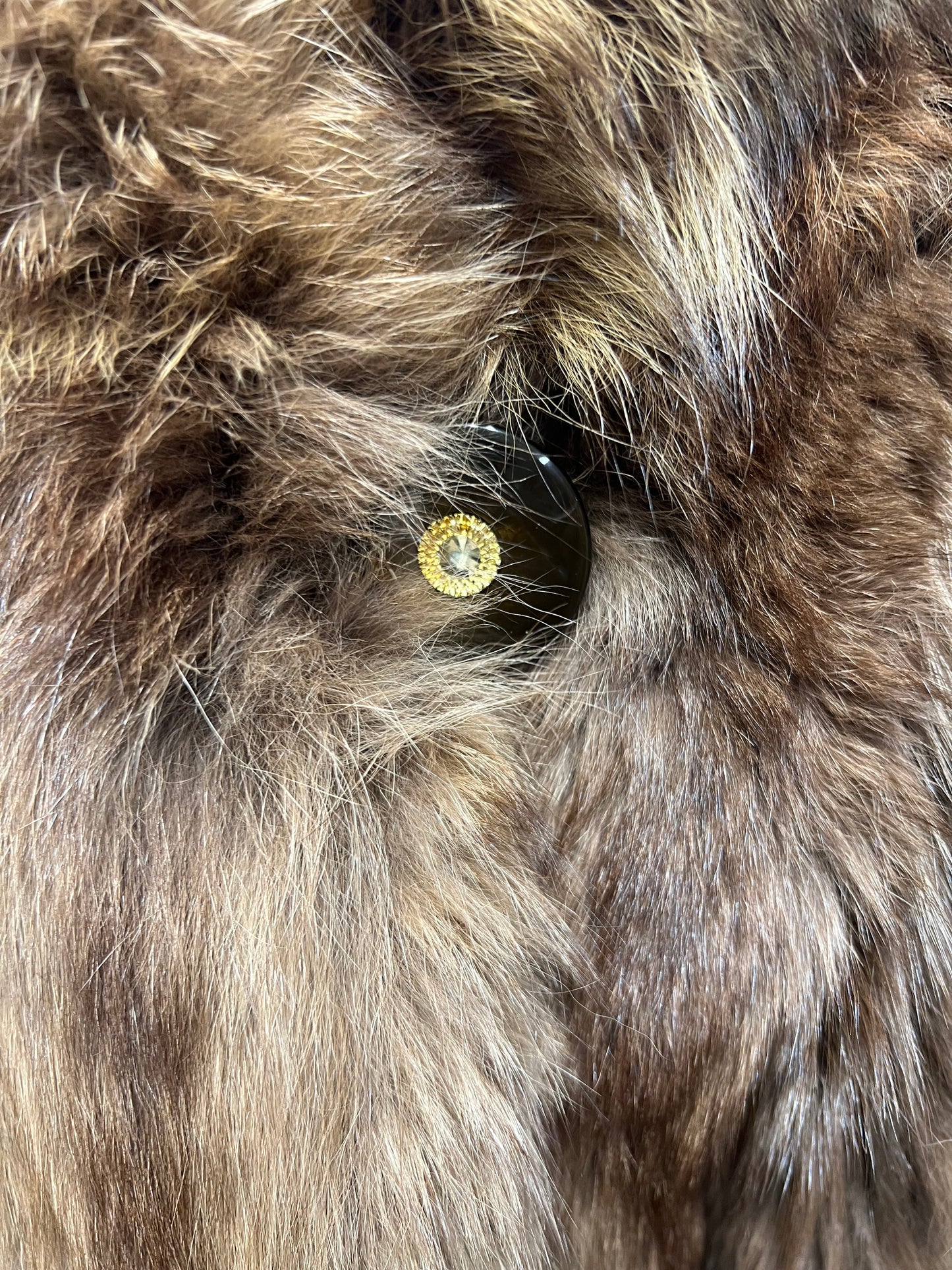 Manteau en Renard Tinté 2422