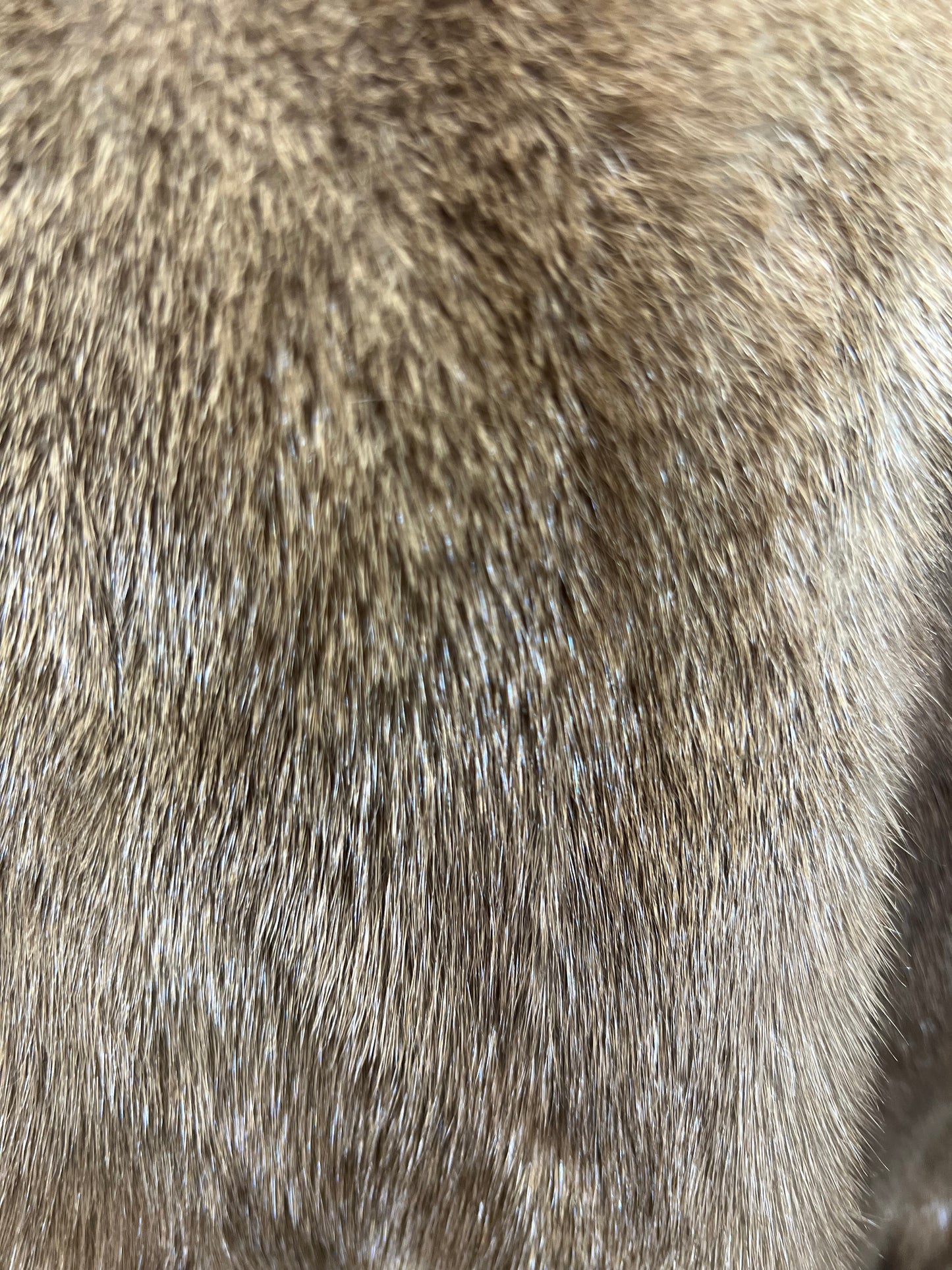 Manteau en fourrure de vison. Cod:2672