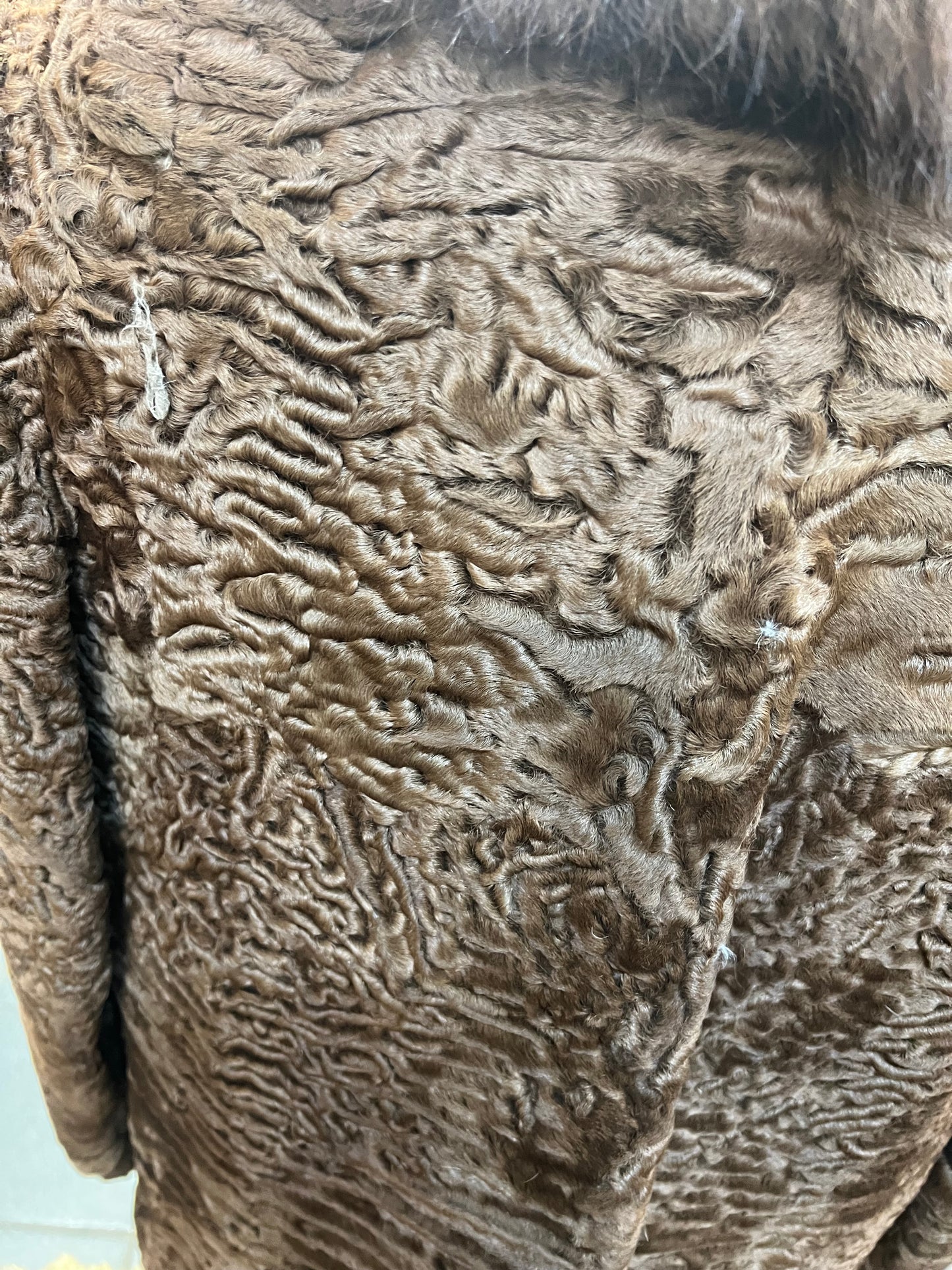 Persan du col en fourrure de vison