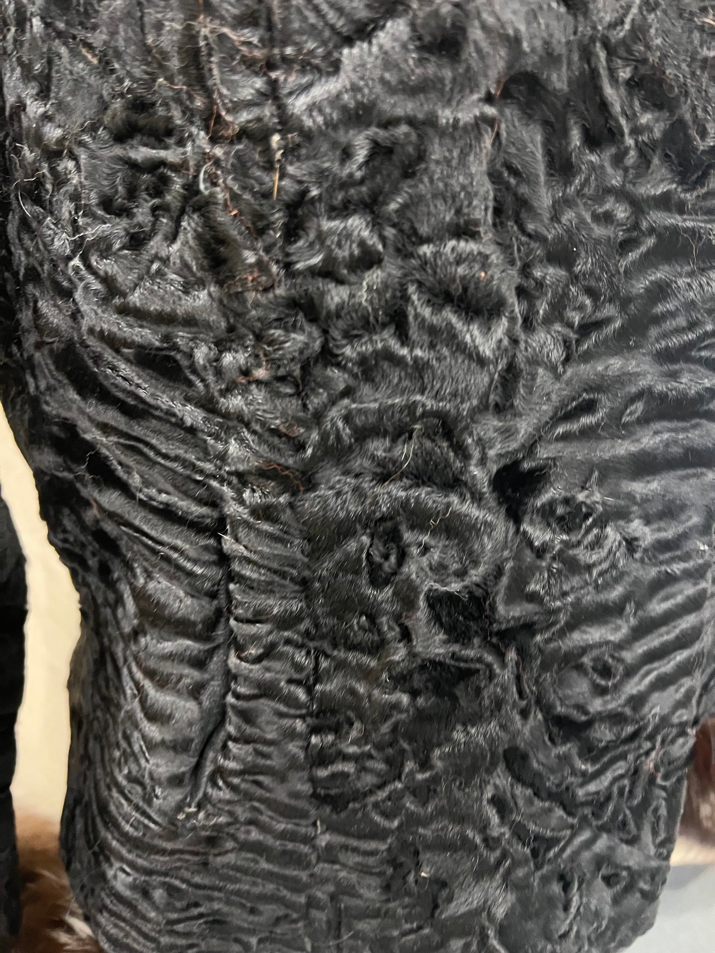 Renard sur le col et le poignet fourrure en persan