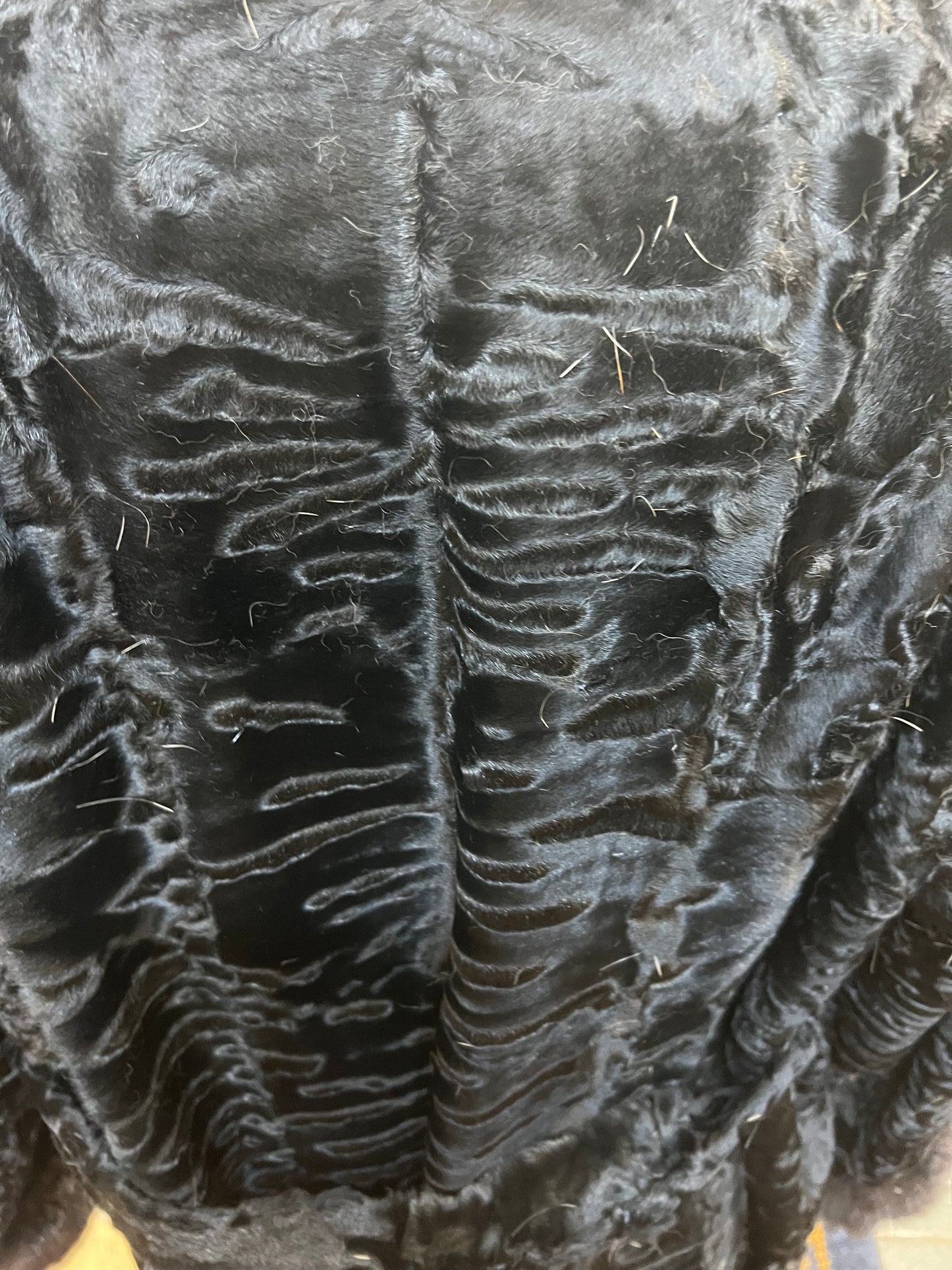 Persan con poignée et col de vison