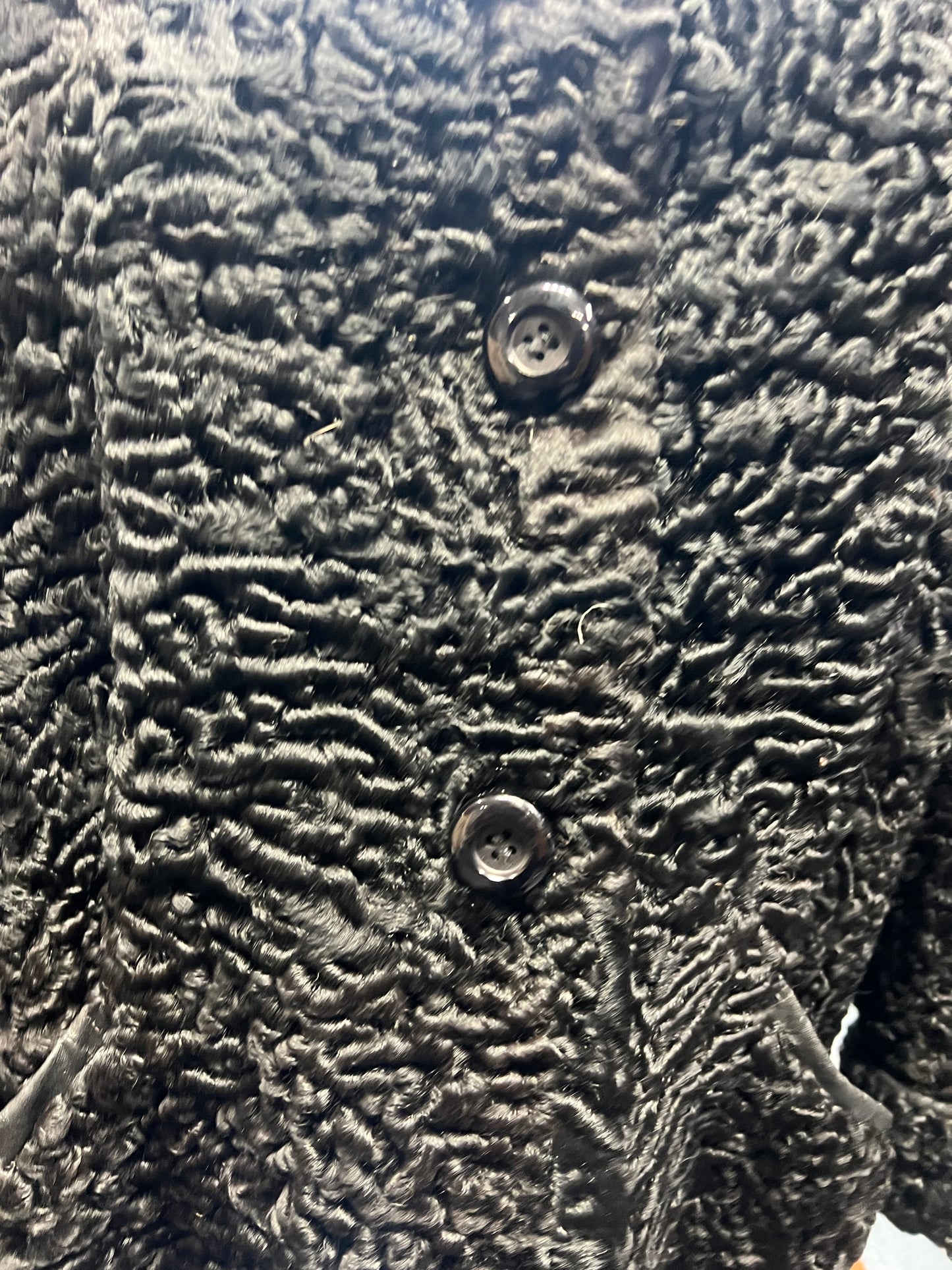 Manteau astrakan ( Persan)