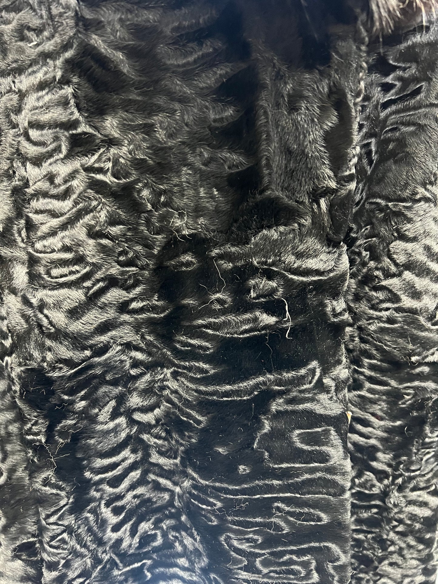 Persan con poignée et col de vison