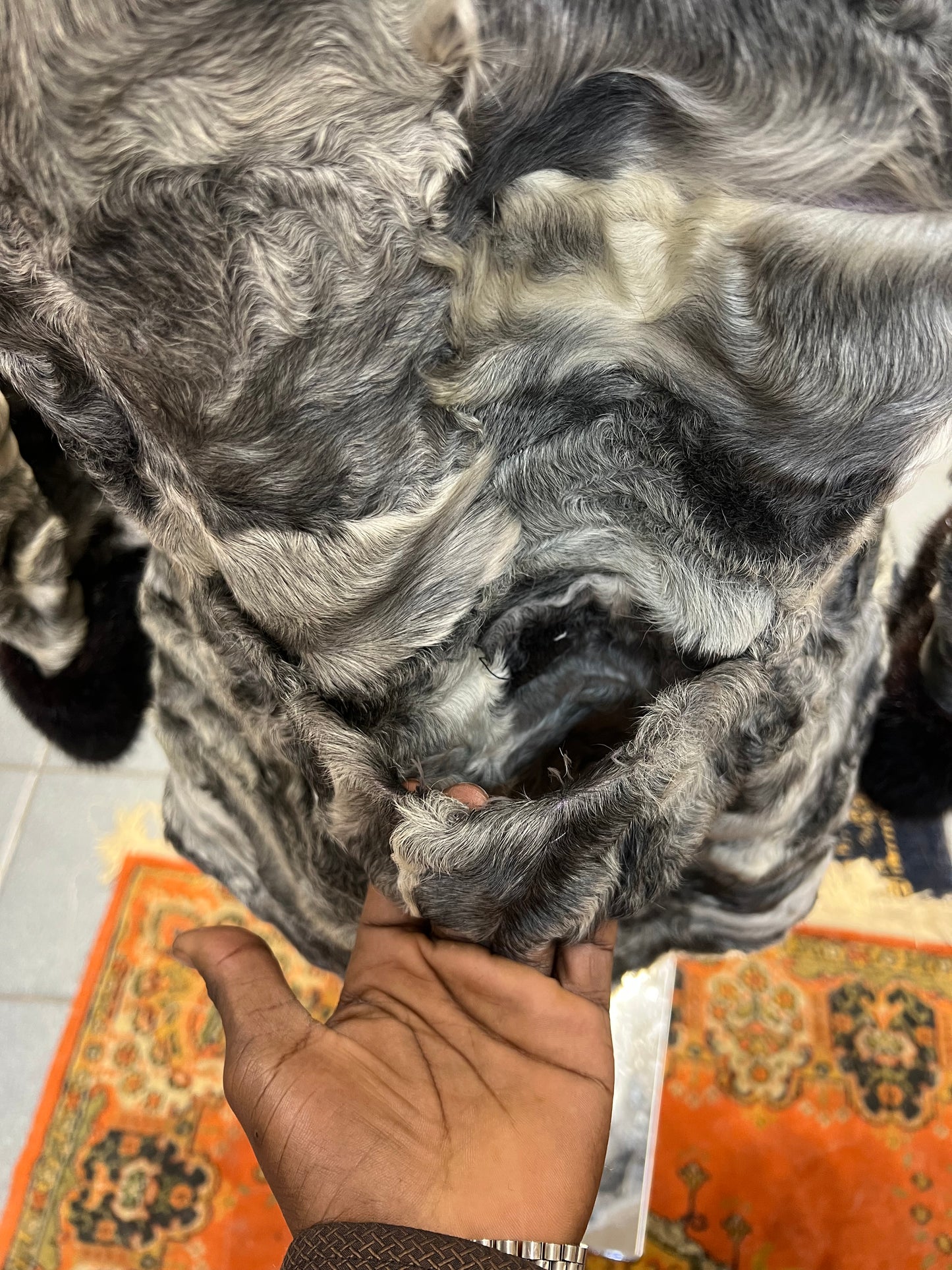 Cape astrakan col et poignée en vison