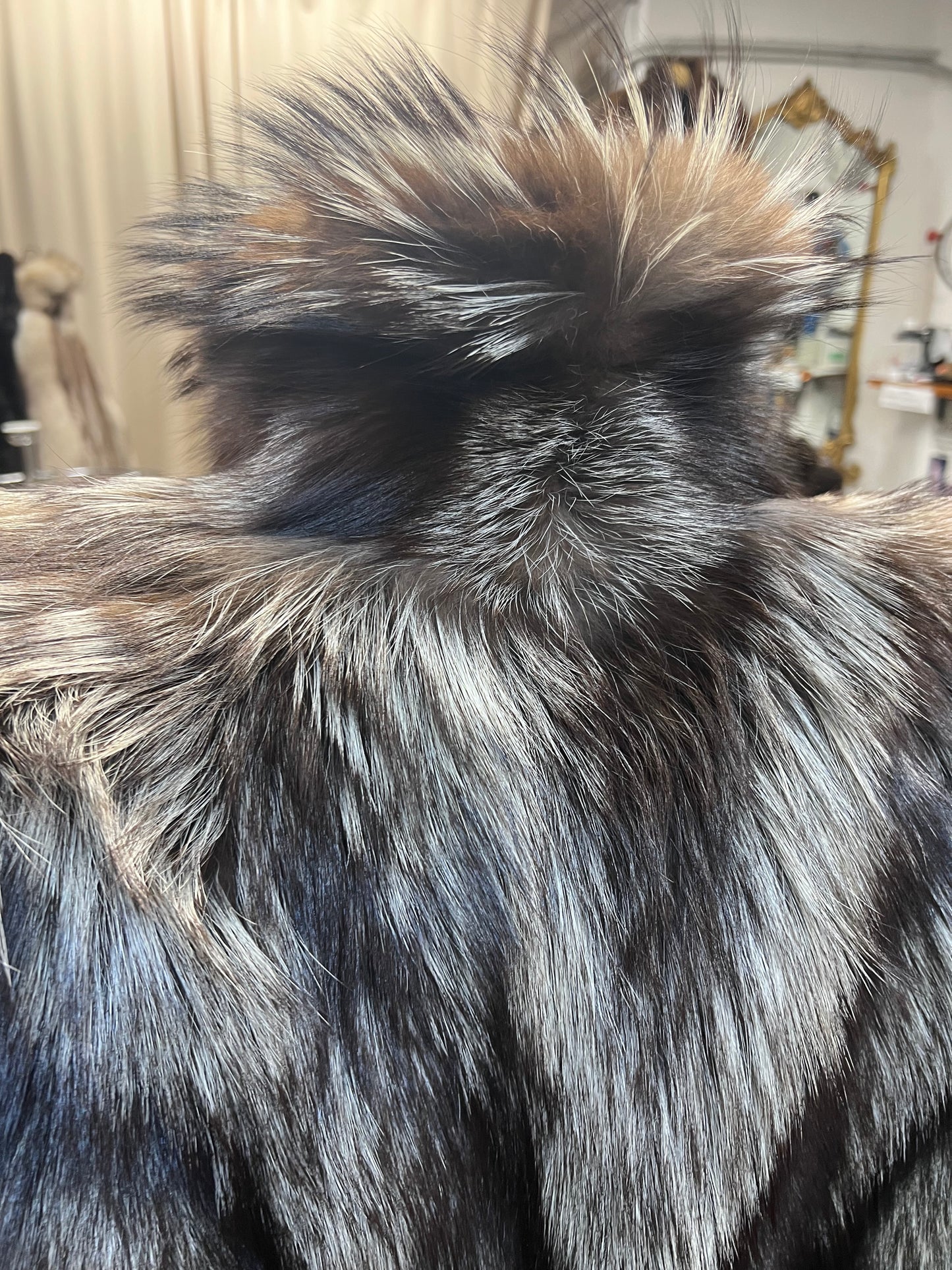 Renard argenté 2690