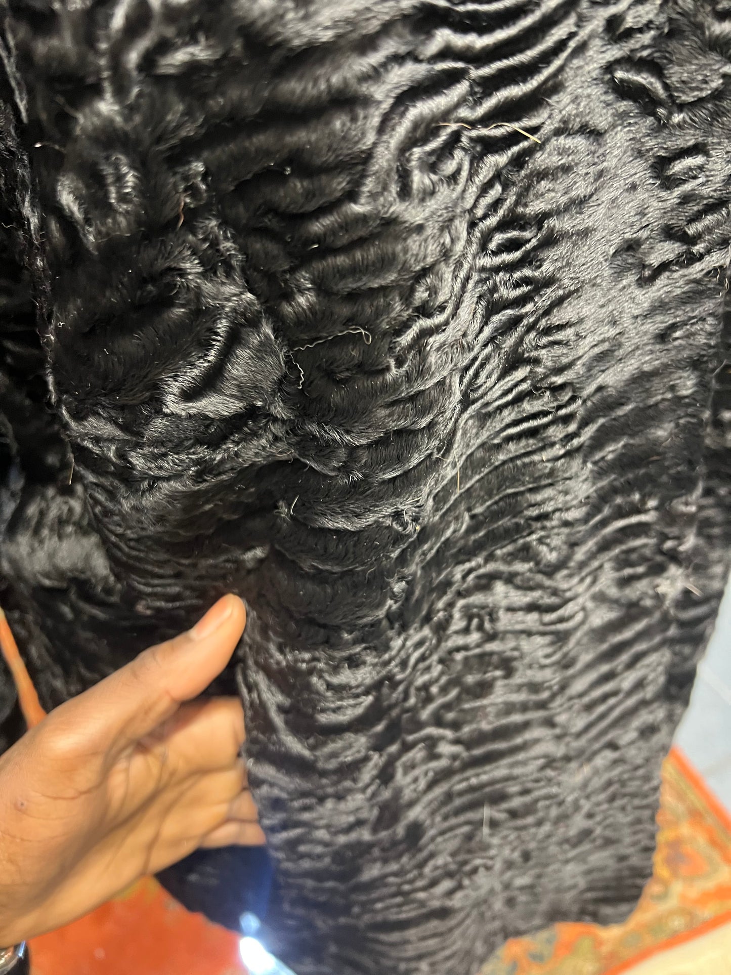 Manteau astrakan ( Persan)